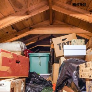 Is Attic Mold Making You Sick?