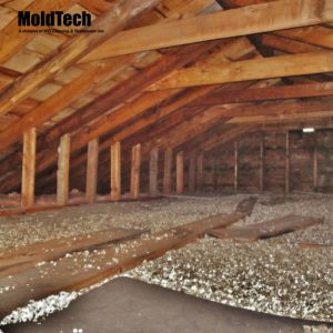 Why DIY Attic Mold Removal in Vaughan is a Risky Move