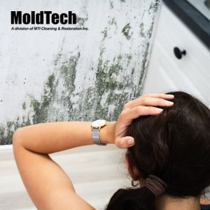 mold remediation vaughan