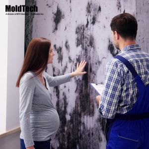 mold removal toronto